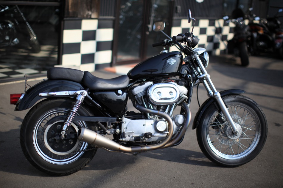 ���C���ʐ^