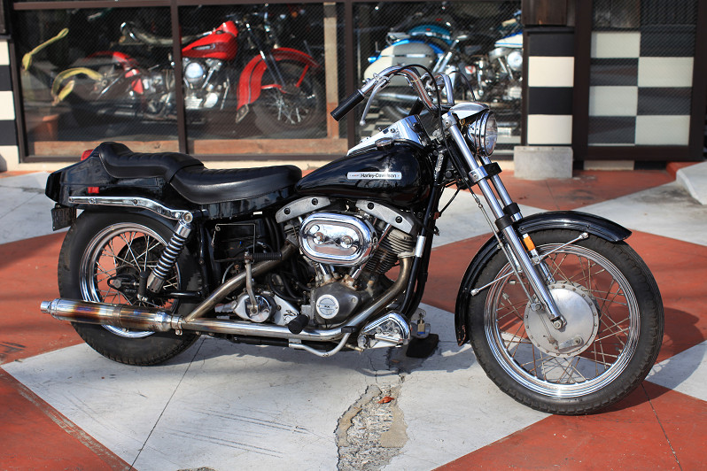 ���C���ʐ^