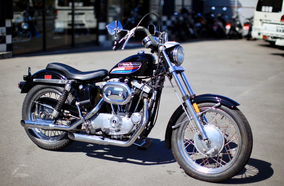 ���C���ʐ^