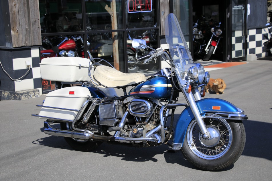 ���C���ʐ^