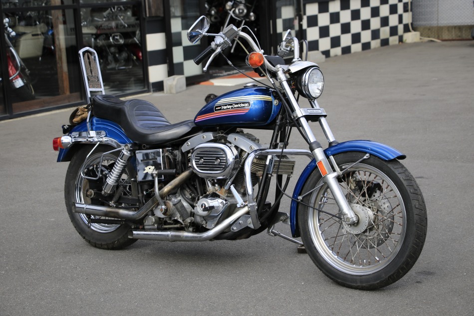 ���C���ʐ^