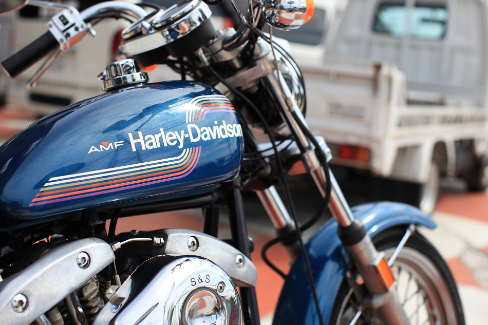 ���C���ʐ^