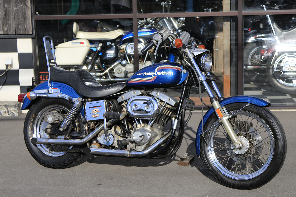 ���C���ʐ^