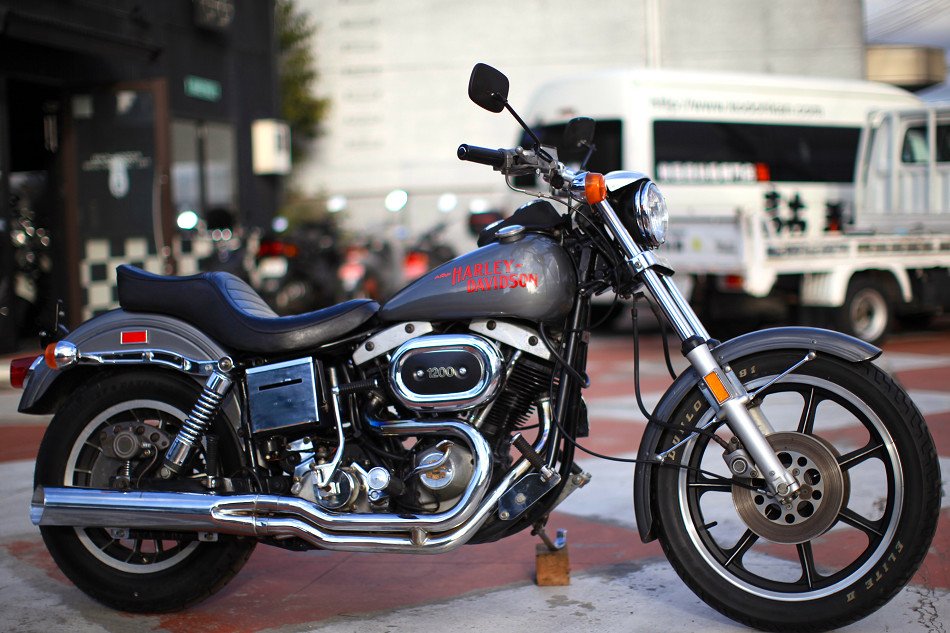 ���C���ʐ^