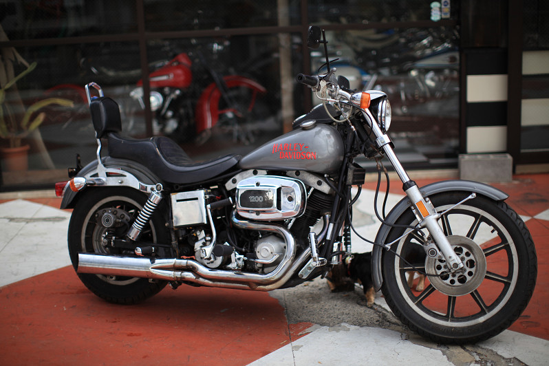 ���C���ʐ^