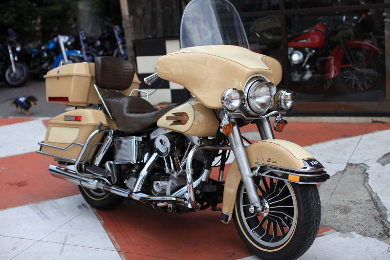 ���C���ʐ^