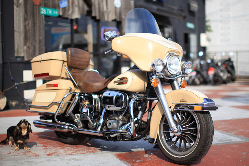 ���C���ʐ^