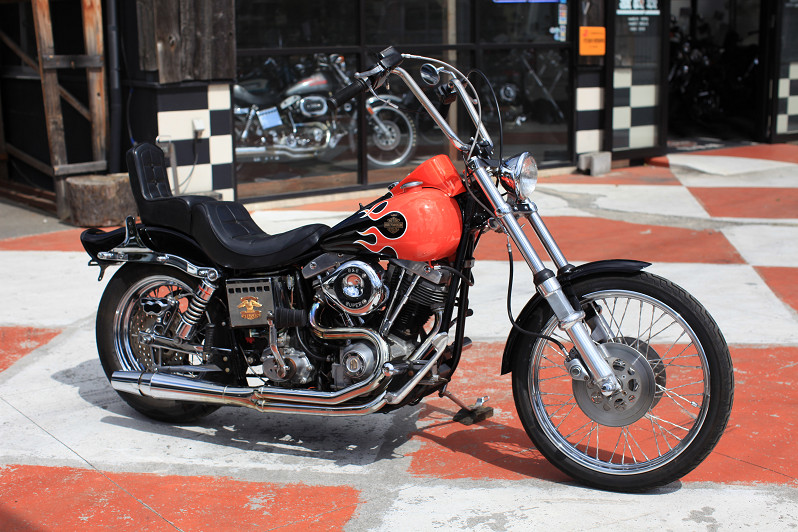 ���C���ʐ^