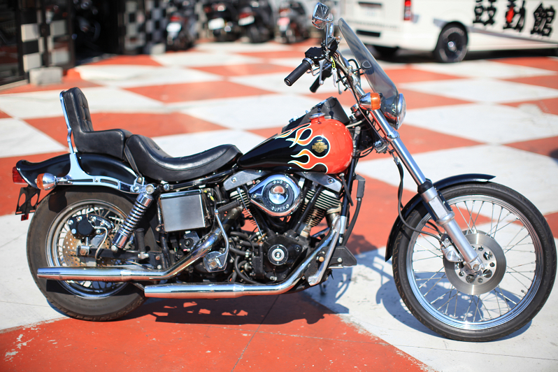 ���C���ʐ^