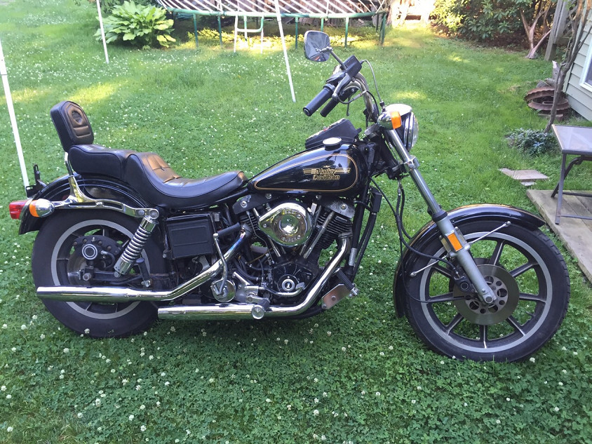 ���C���ʐ^