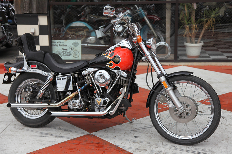 ���C���ʐ^