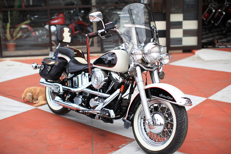 ���C���ʐ^