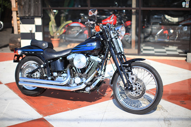 ���C���ʐ^