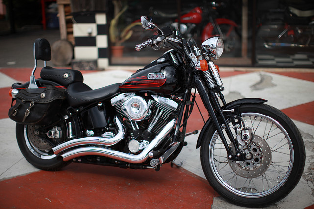 ���C���ʐ^