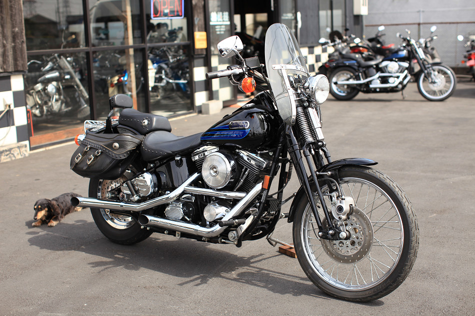 ���C���ʐ^