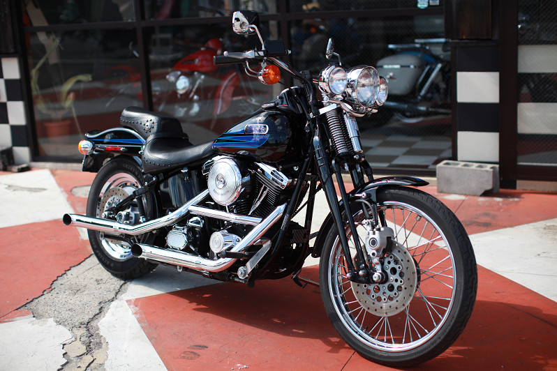 ���C���ʐ^