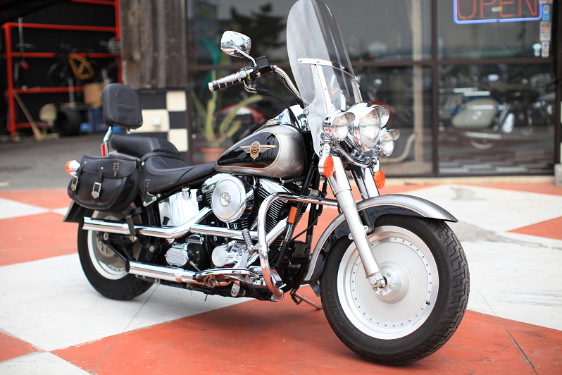 ���C���ʐ^