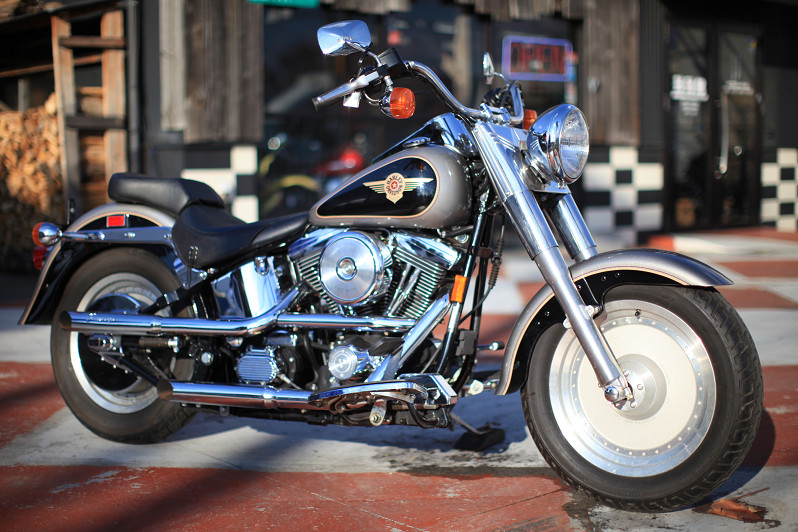 ���C���ʐ^