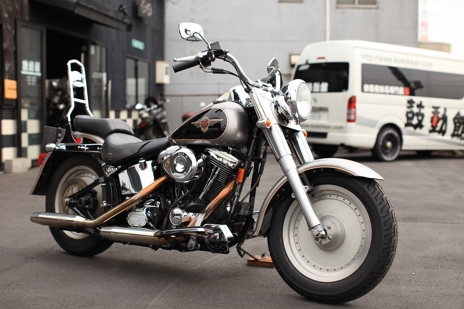 ���C���ʐ^