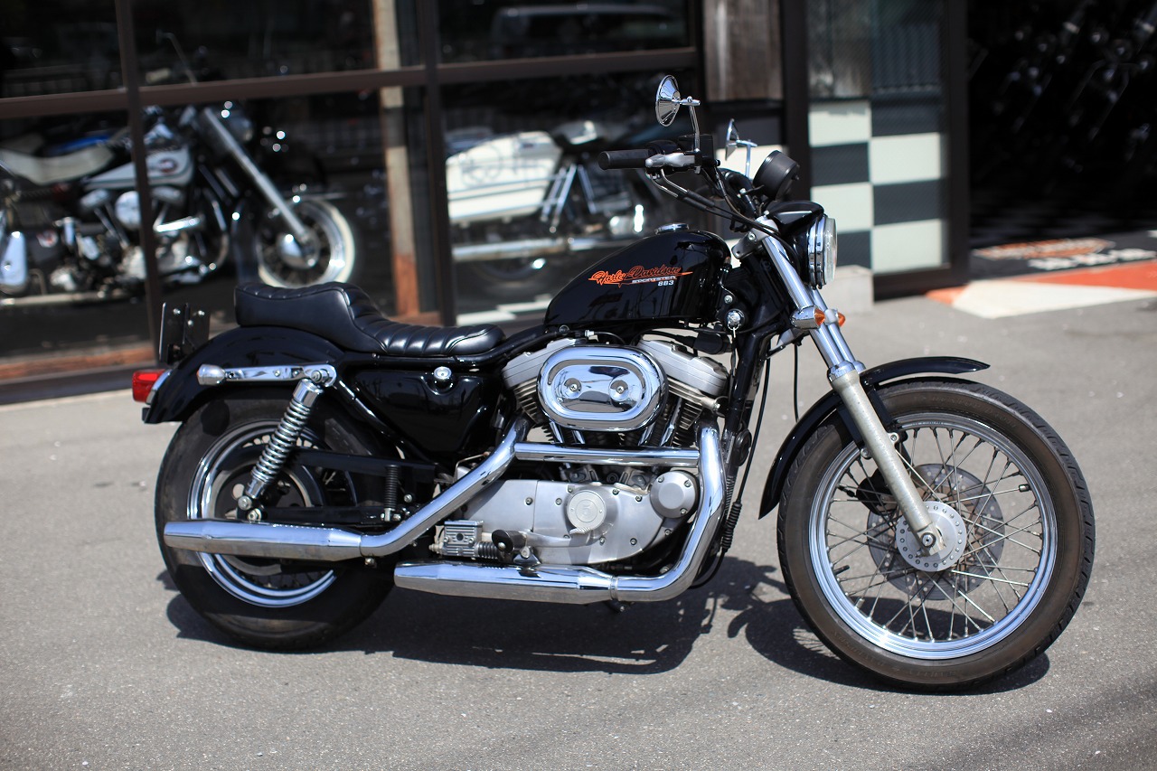 ���C���ʐ^