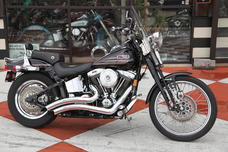 ���C���ʐ^