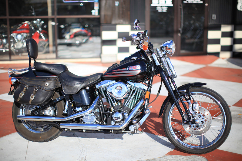 ���C���ʐ^