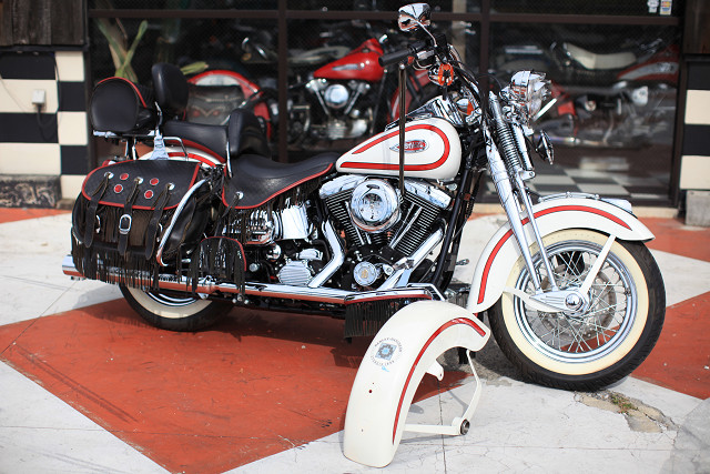 ���C���ʐ^