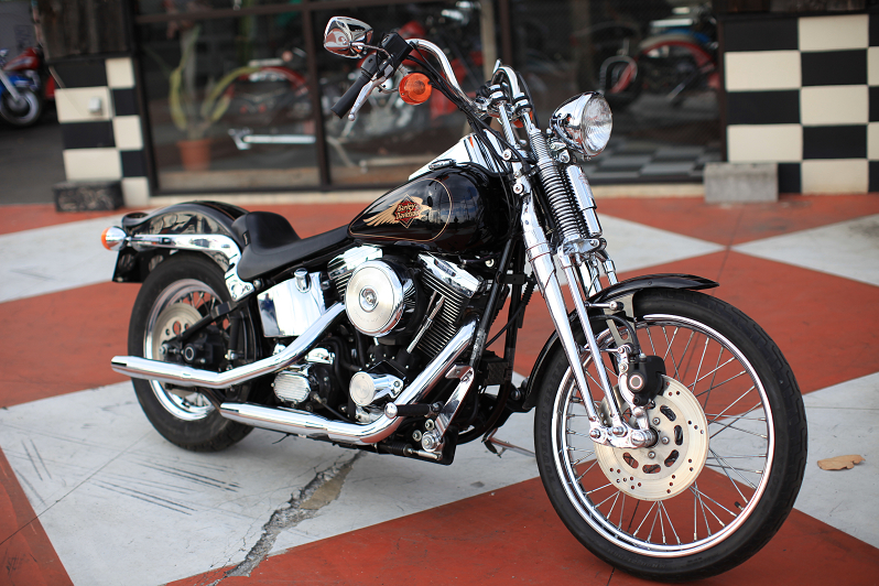 ���C���ʐ^