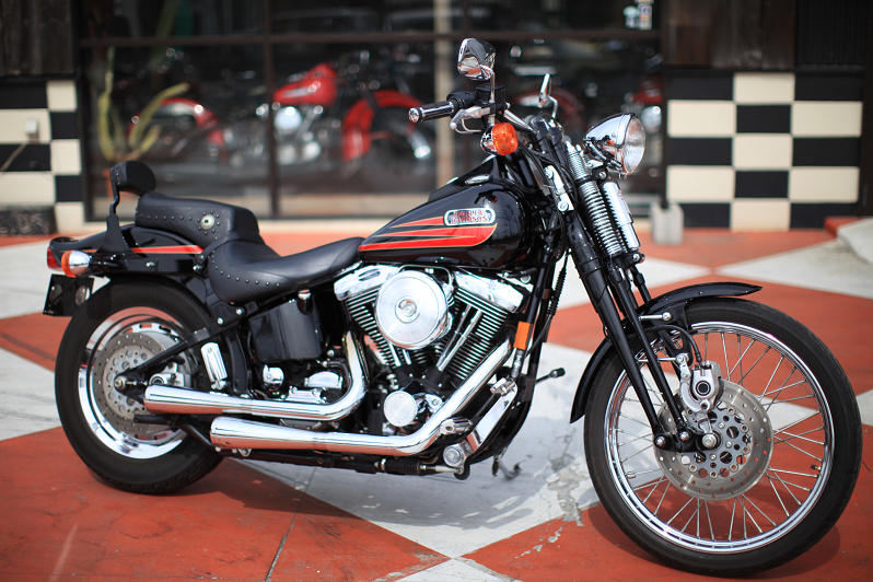 ���C���ʐ^