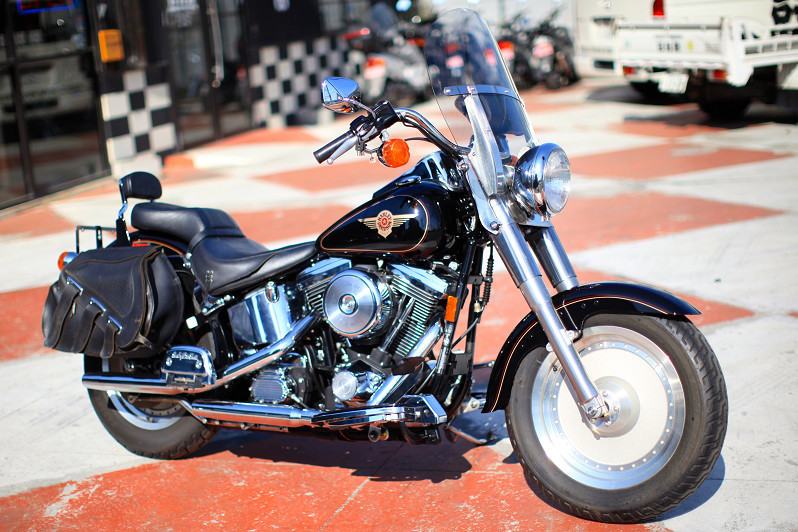 ���C���ʐ^