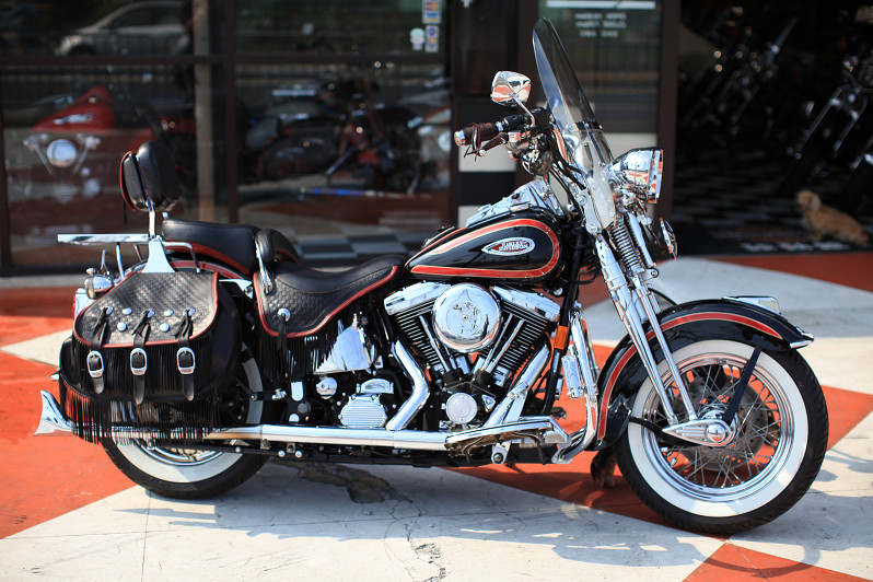 ���C���ʐ^