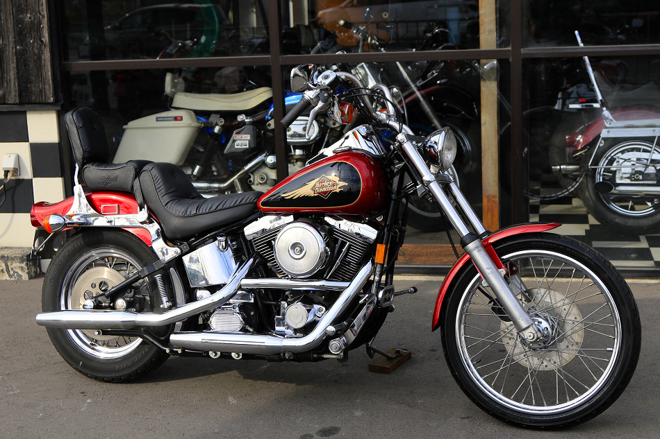 ���C���ʐ^