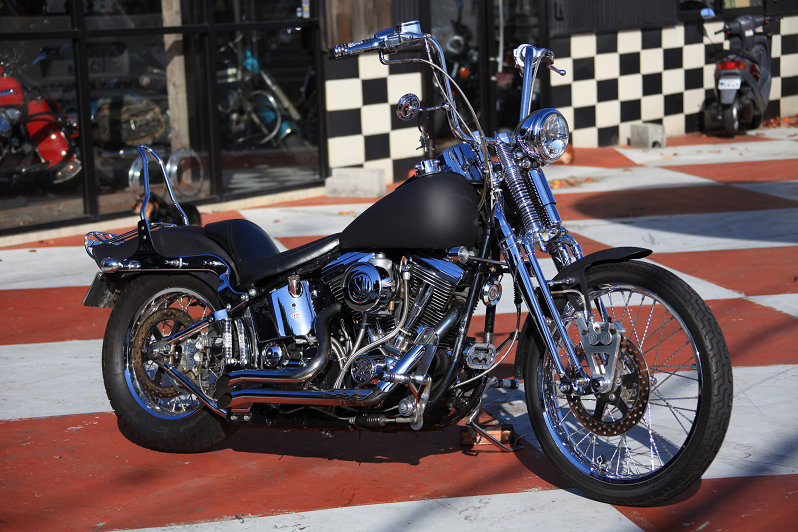 ���C���ʐ^