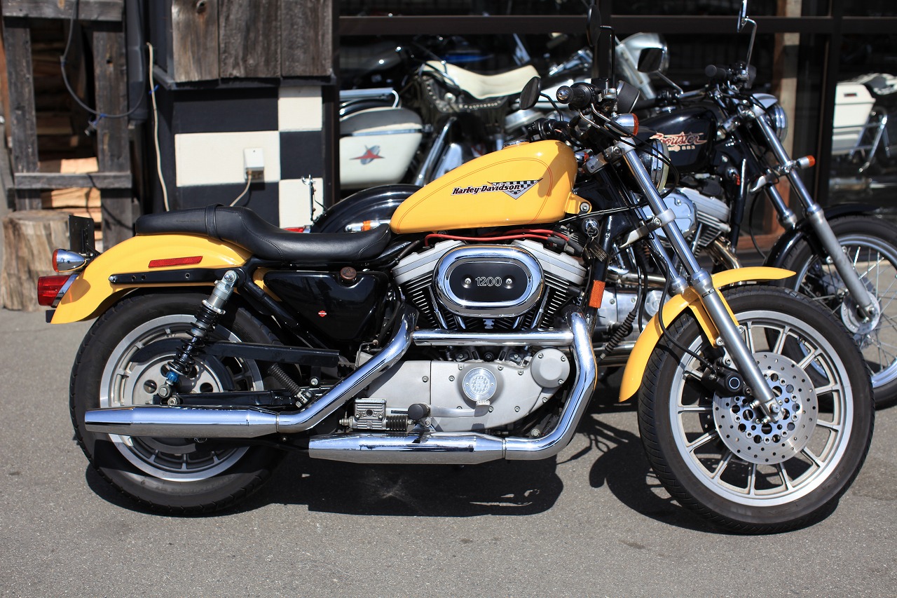 ���C���ʐ^