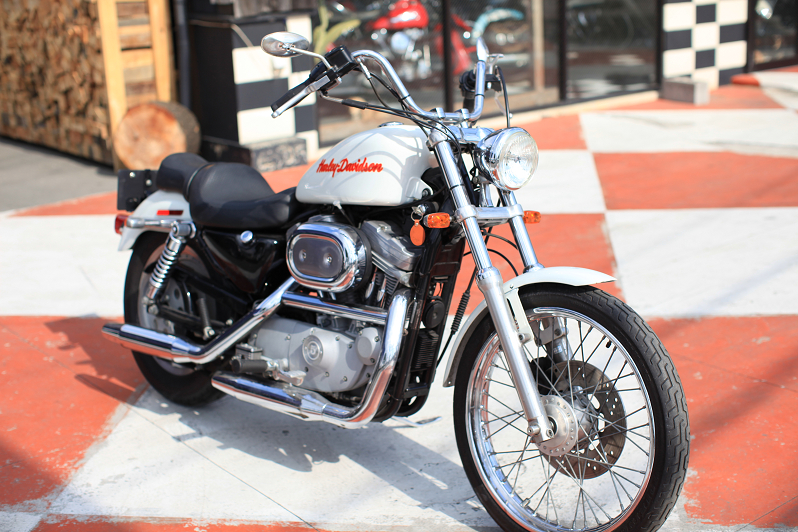 ���C���ʐ^