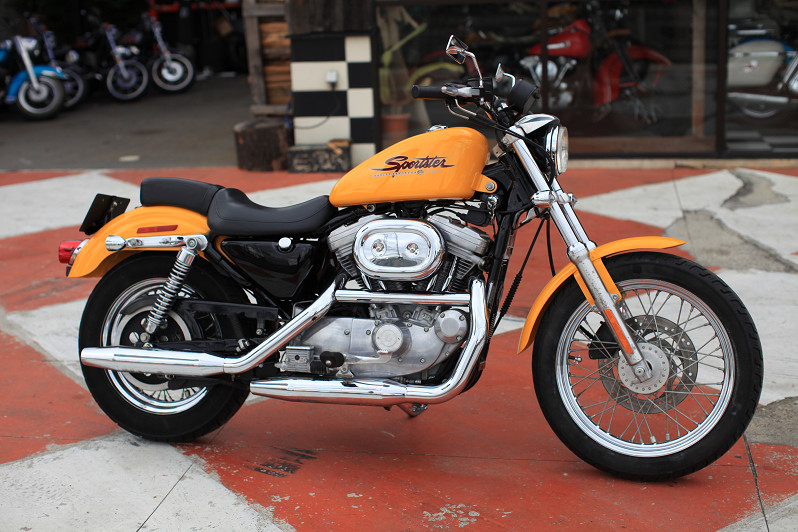 ���C���ʐ^