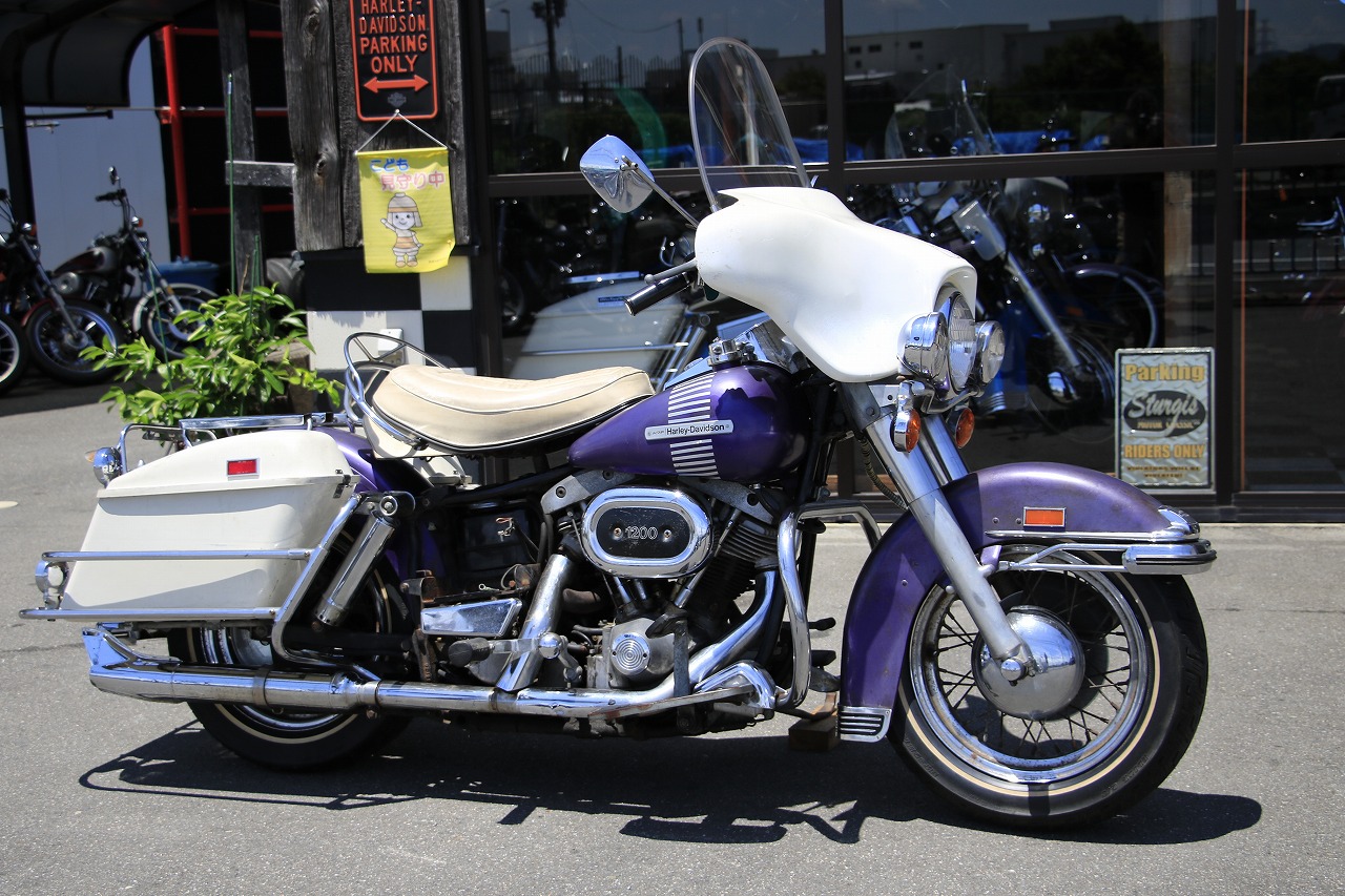 ���C���ʐ^