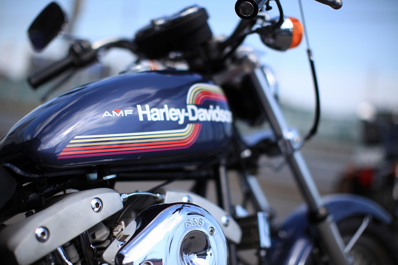 ���C���ʐ^