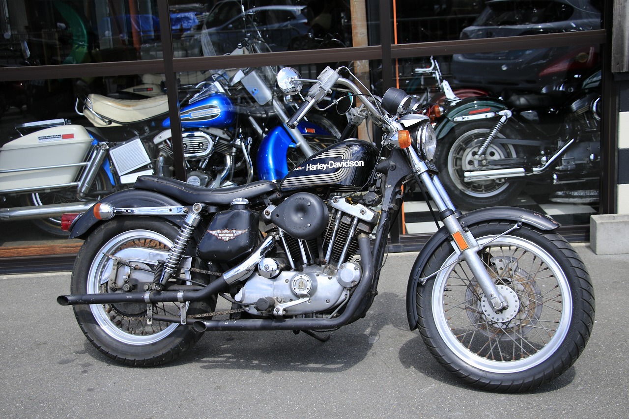 ���C���ʐ^