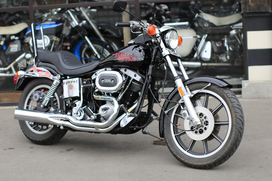 ���C���ʐ^