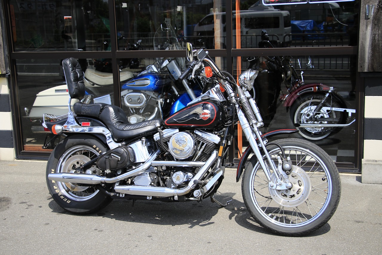 ���C���ʐ^