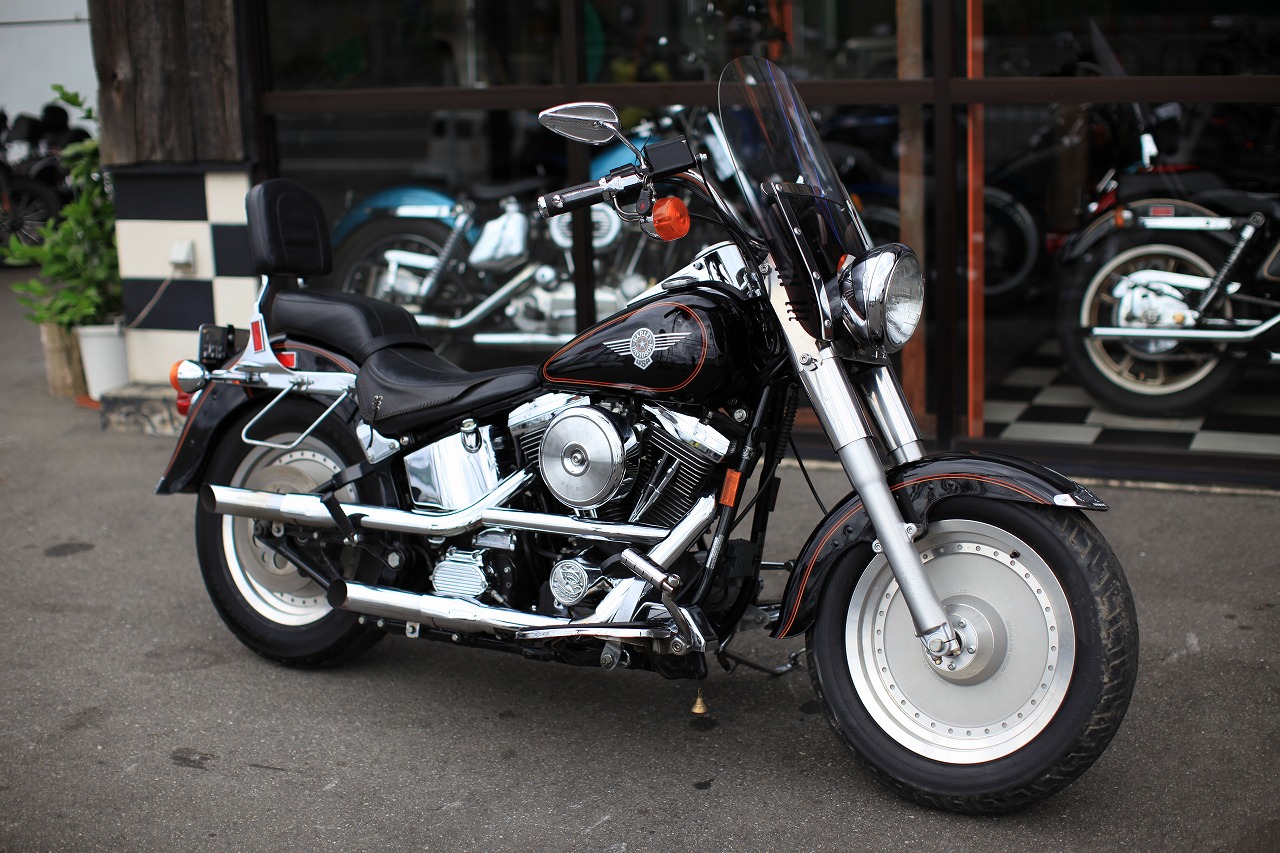 ���C���ʐ^