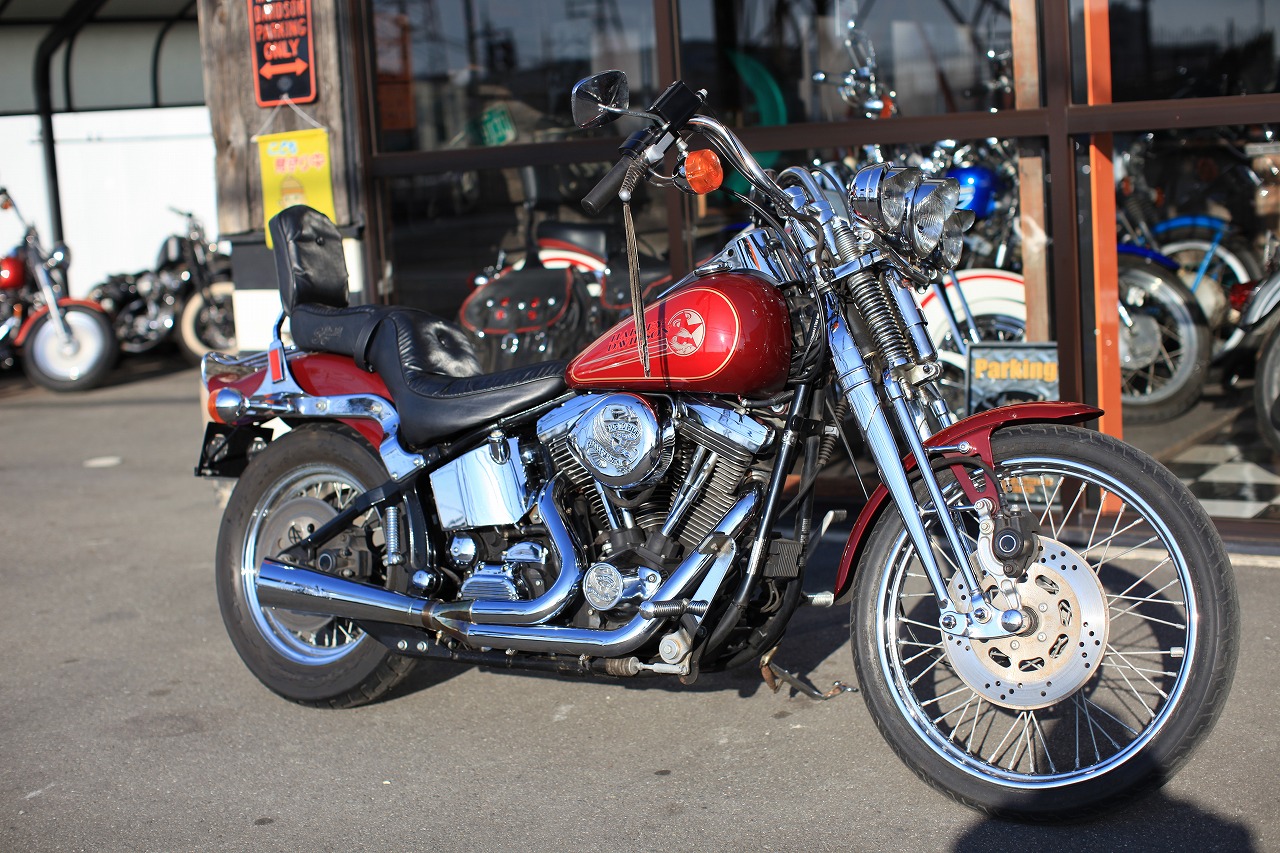 ���C���ʐ^