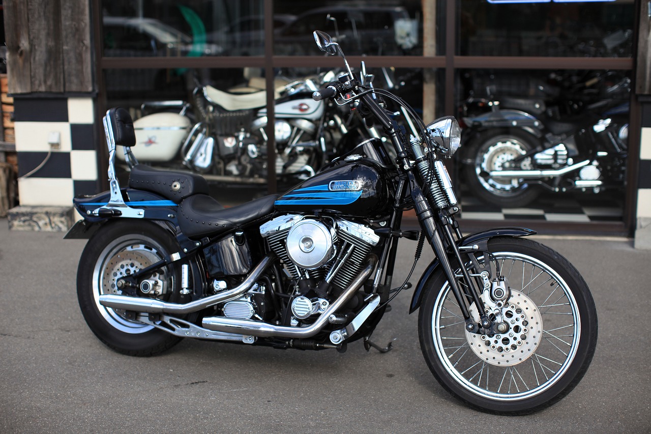 ���C���ʐ^