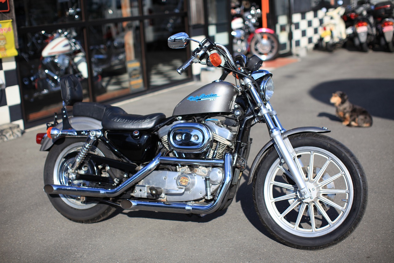 ���C���ʐ^