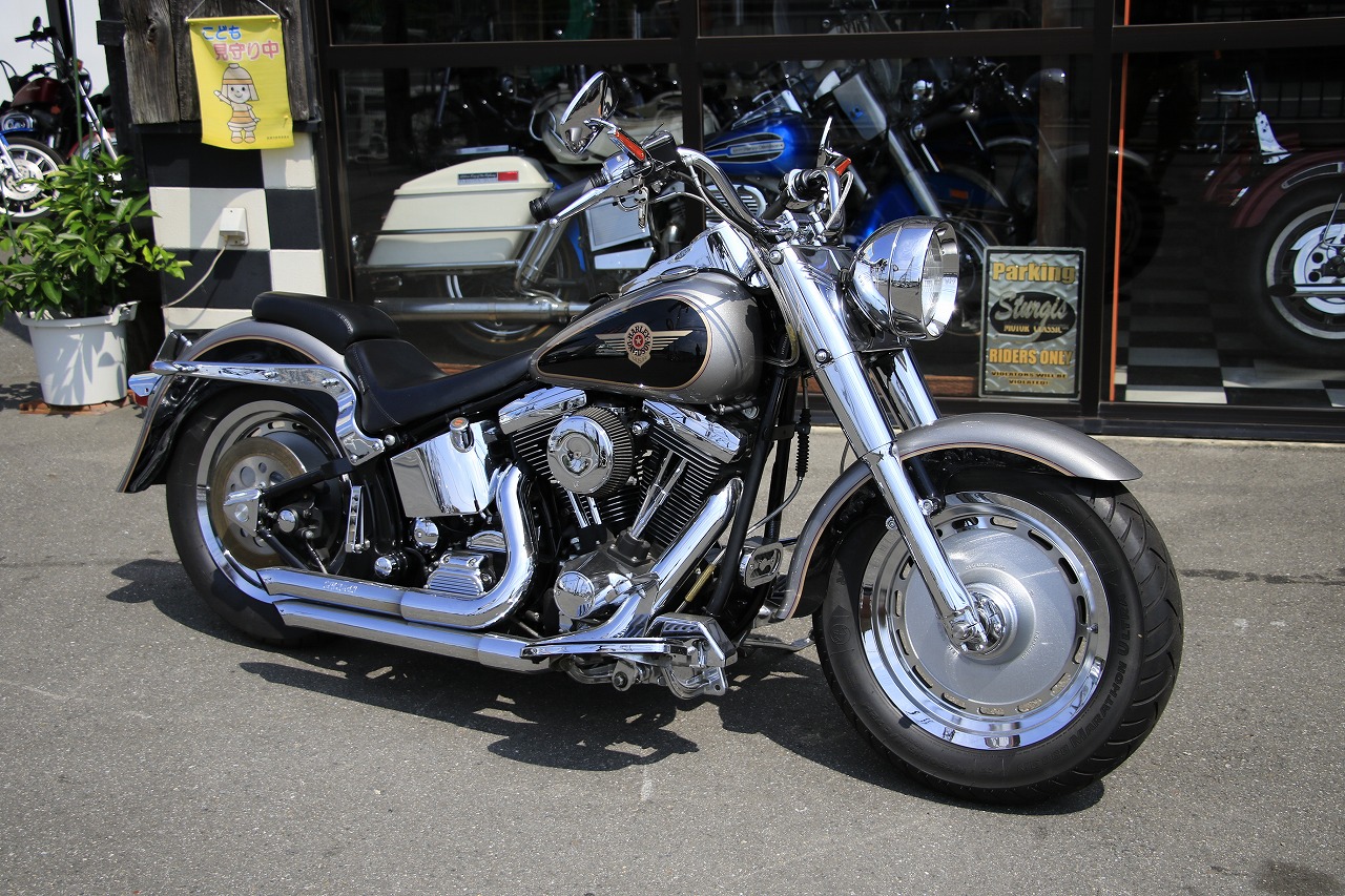 ���C���ʐ^