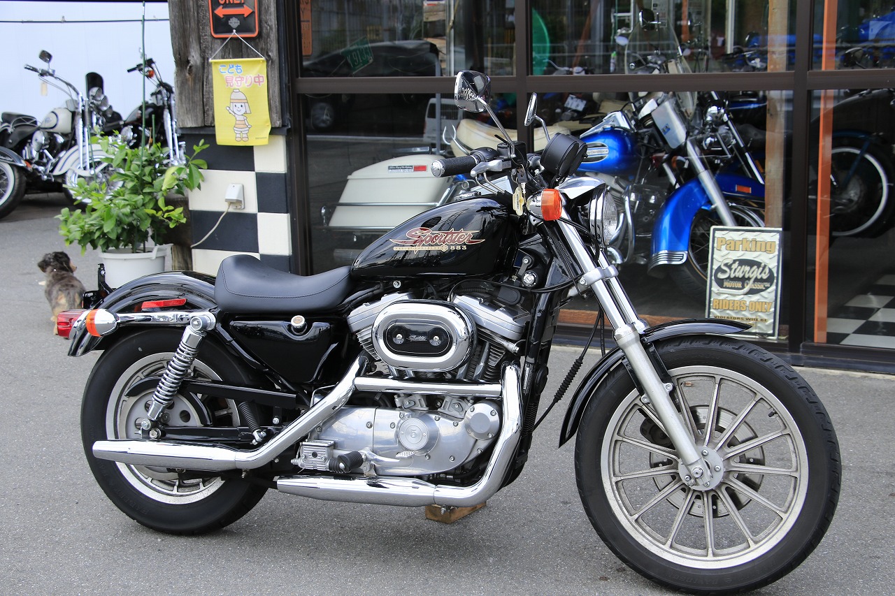 ���C���ʐ^