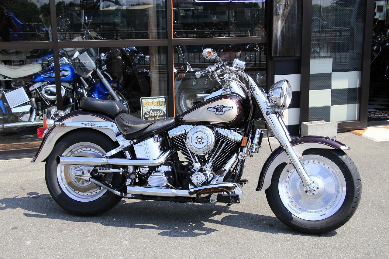 ���C���ʐ^