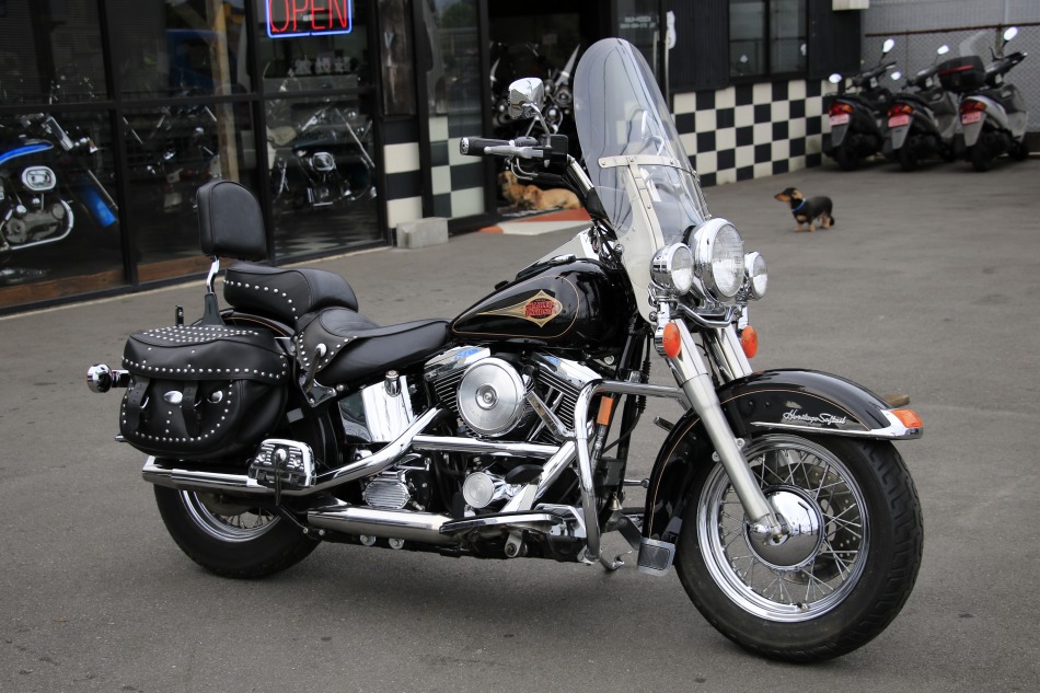 ���C���ʐ^