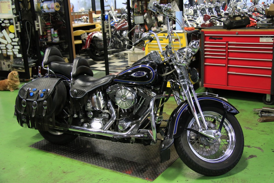 ���C���ʐ^